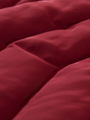 TOM TAILOR Tussenjas in Rood