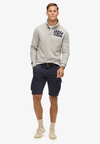 Superdry Свободный крой Брюки-карго 'Core' в Синий