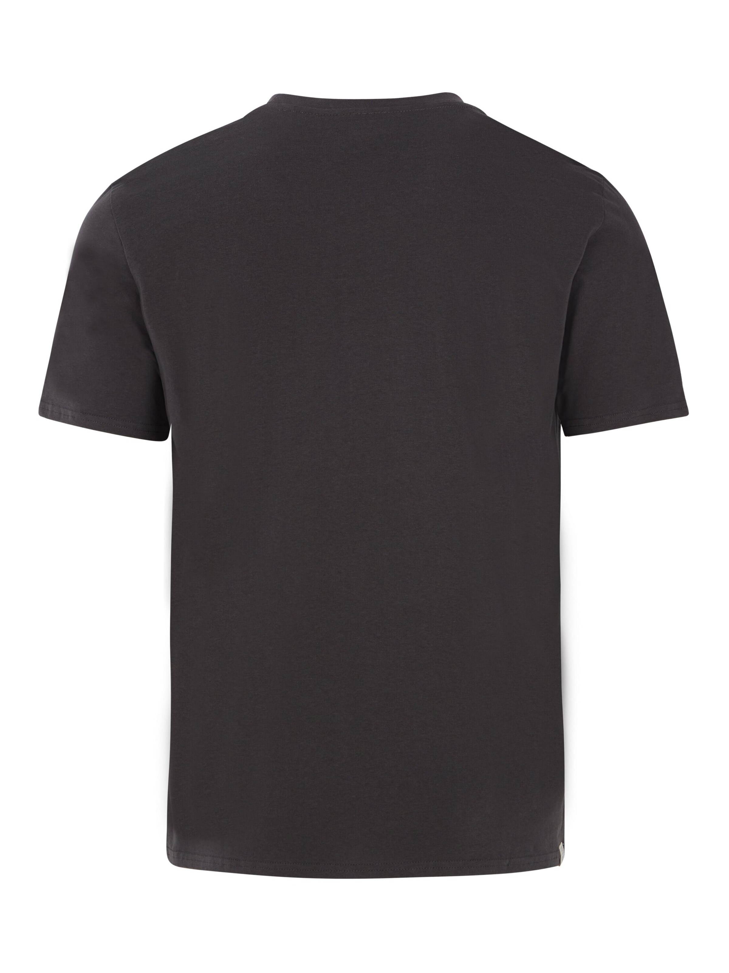 PROTEST Shirt 'PRTSTAN' in Grijs