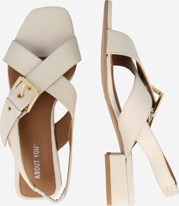 ABOUT YOU Sandals 'Jennifer' in Beige