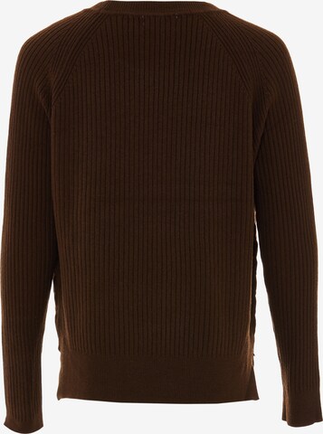 IMMY Sweater in Brown