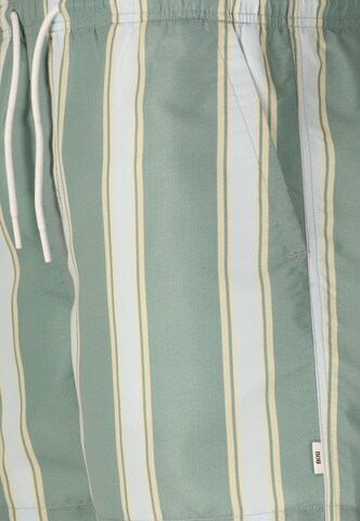 NOU Swimming shorts 'Enrique' in Green