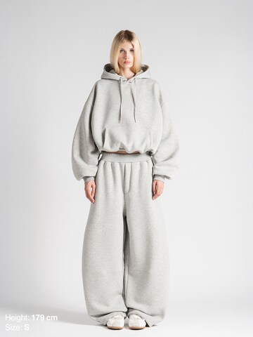 ENRAGE Baggy Hose 'BUBBLE' in Grau