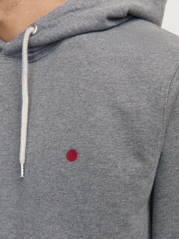 Felpa 'RDDKALID' di R.D.D. ROYAL DENIM DIVISION in grigio