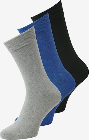 Calzino 'JACORDINARY' di JACK & JONES in blu: frontale