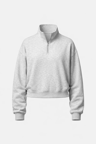 Felpa di BRAVE SOUL in grigio