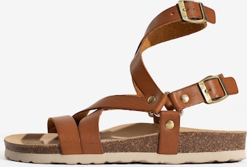 Bayton Sandal 'Armidale' in Brown: front