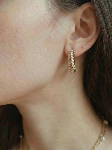 Kamakula Earrings 'Twisted Croissant' in Gold