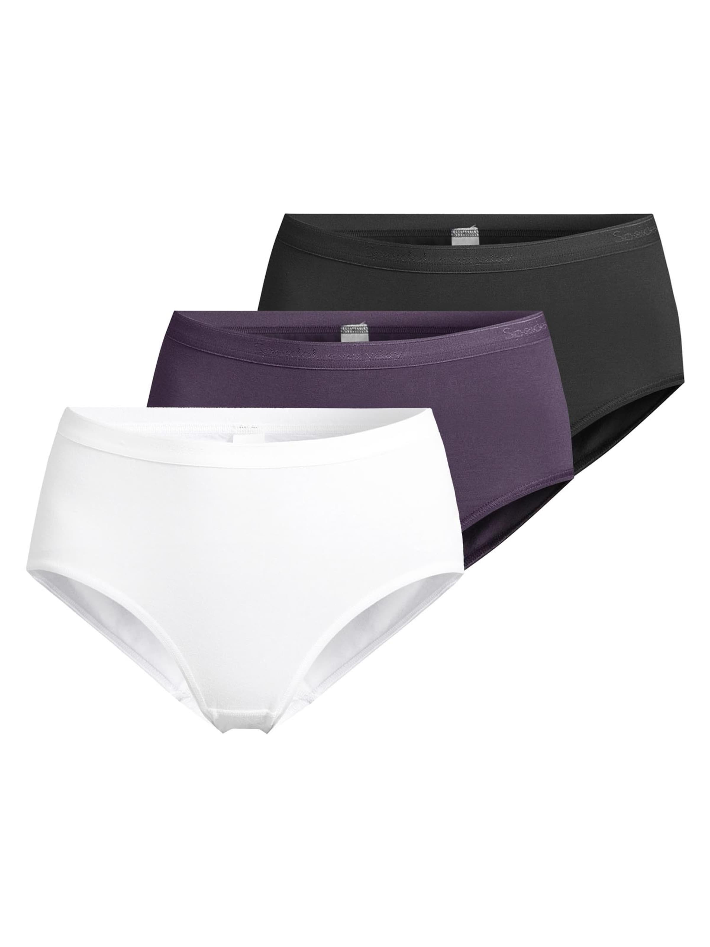SPEIDEL Panty 'Everyday' in Purple: front