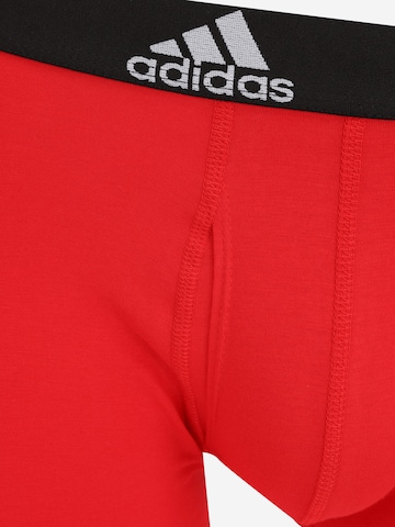 Pantaloncini intimi sportivi di ADIDAS SPORTSWEAR in colori misti