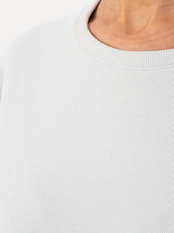 Smilodox Shirt in Grijs