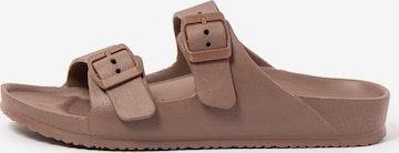 Claquettes / Tongs 'Coastal' Brasileras en marron : devant