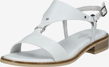 Nero Giardini Sandalen met riem in Wit: voorkant
