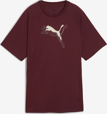 PUMA Shirt 'Evostripe' in Rood: voorkant