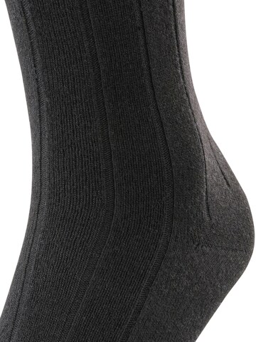 FALKE Knee High Socks 'Lhasa Rib' in Black
