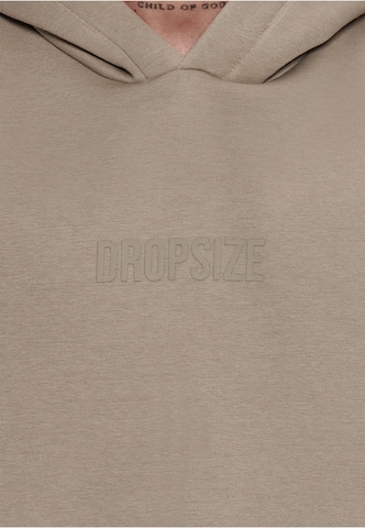 Dropsize Sweatshirt in Beige