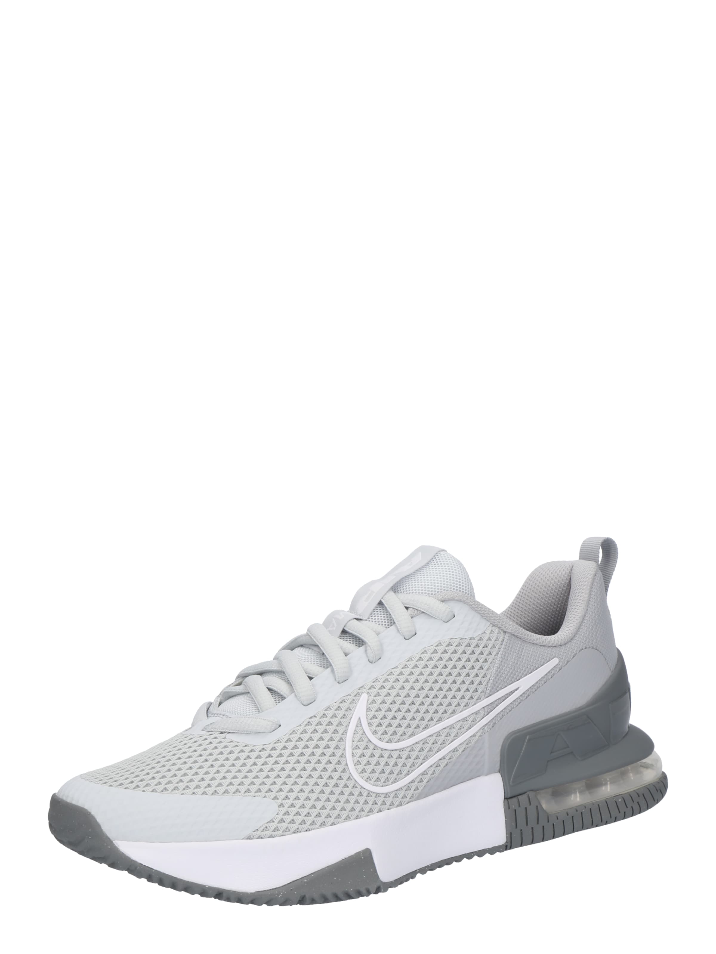 NIKE Спортивная обувь 'Air Max Alpha Trainer 6' в Серый: спереди