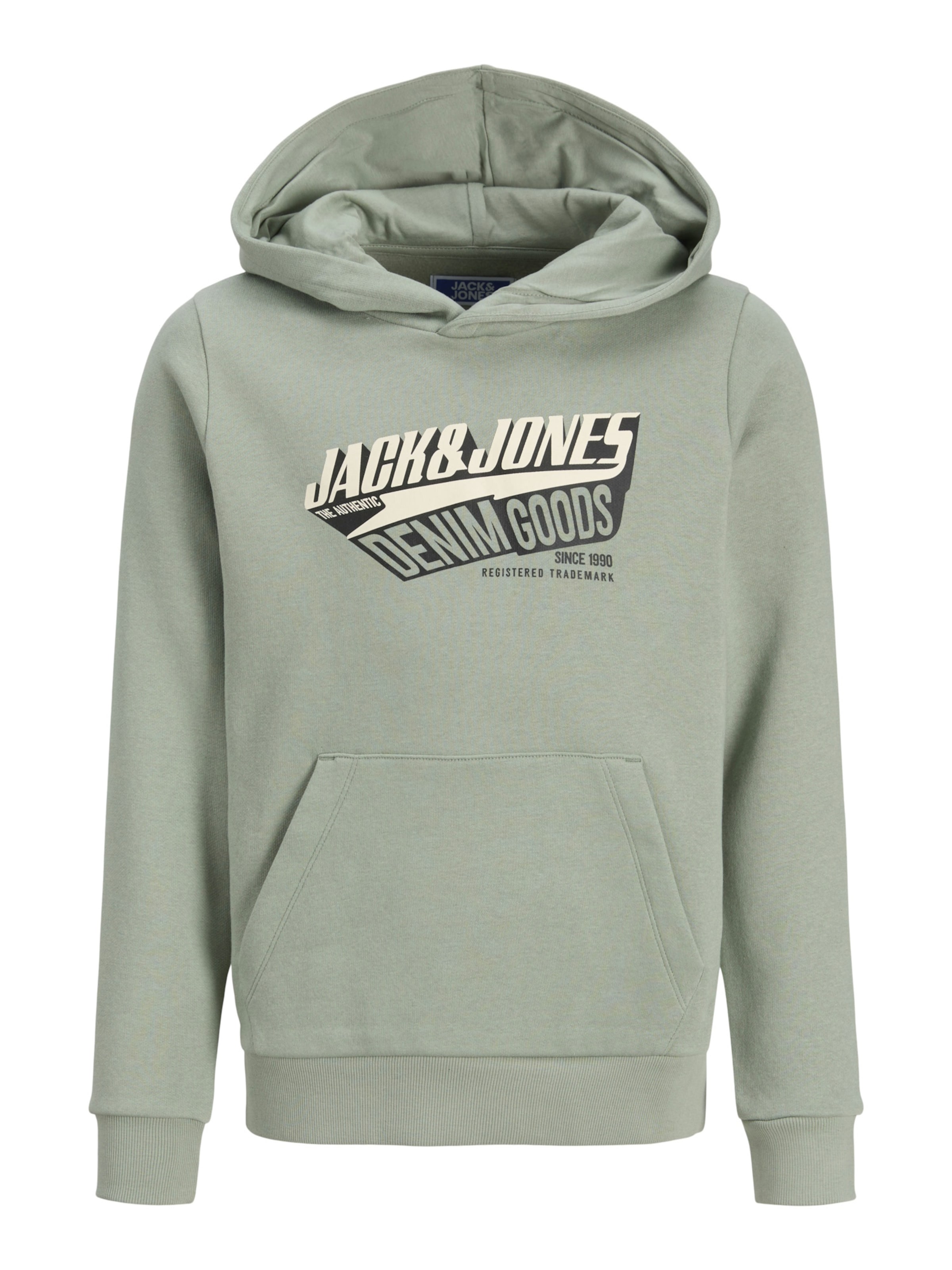 Jack & Jones Junior Hoodie in Grün: Vorderseite