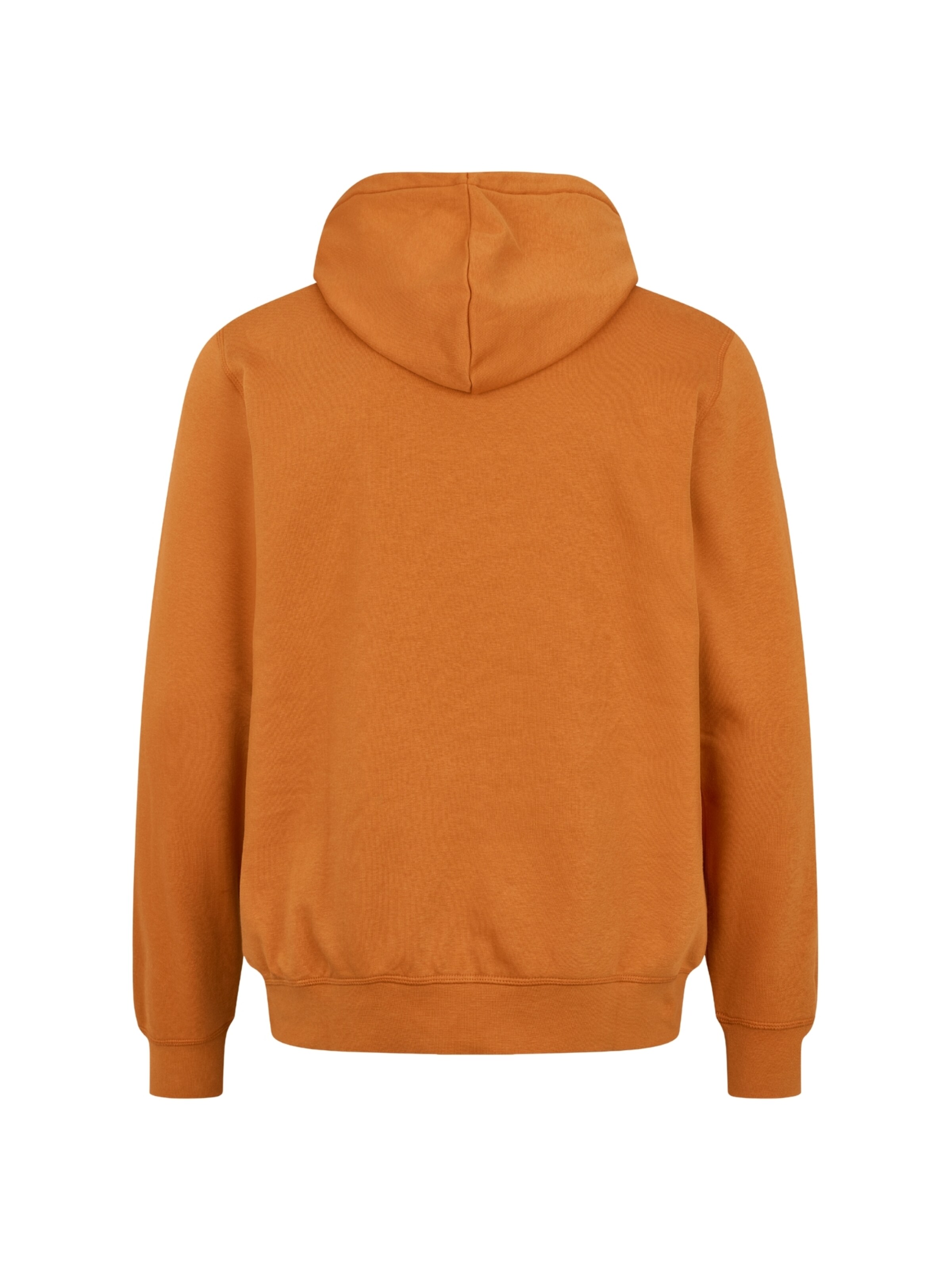 U.S. POLO ASSN. Pullover 'Toke' i orange