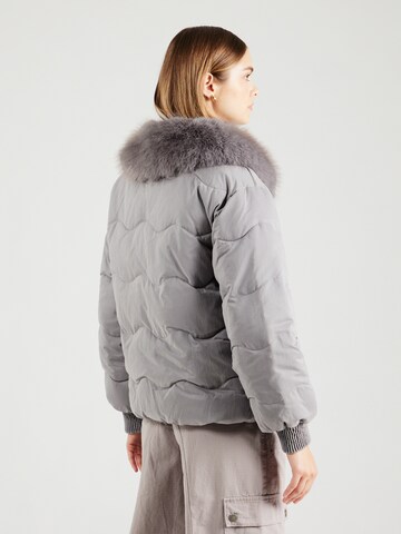 Veste d’hiver NÜMPH en gris