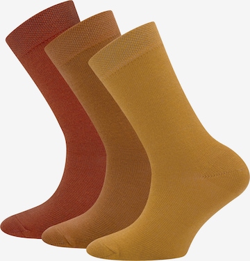 EWERS Socks in Brown: front