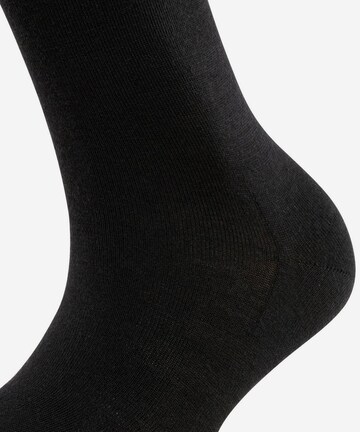 FALKE Socken in Schwarz