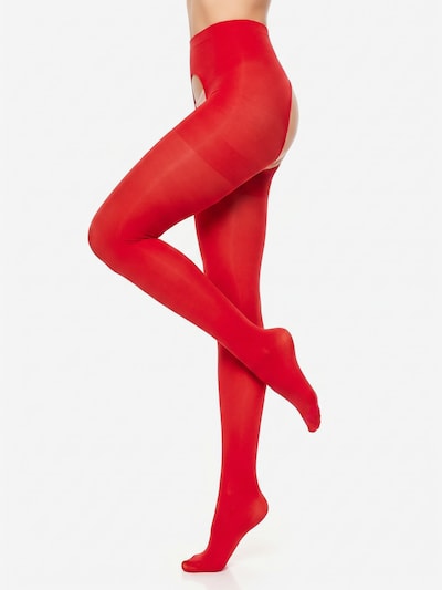 Collant 'Overt Microfaser Strumpfhose' in M-L GLAMORY di colore rosso, Visualizzazione prodotti