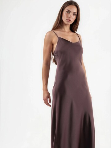 Hiccup Kleid in Braun