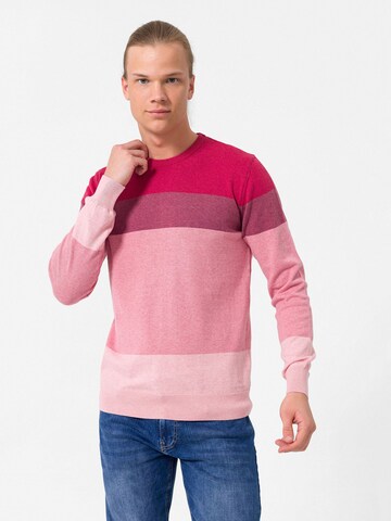 Dandalo Pullover in Pink: Vorderseite