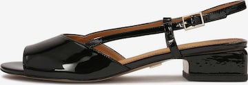 Sandales à lanières Kazar en noir : devant