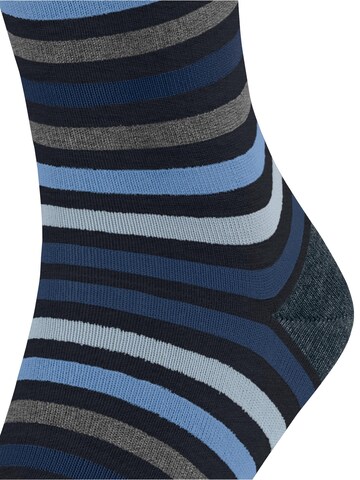 FALKE Socks 'Tinted Stripe' in Blue