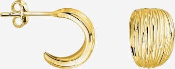 Sofia Milani Ohrringe 'Brushed' in Gold: Vorderseite