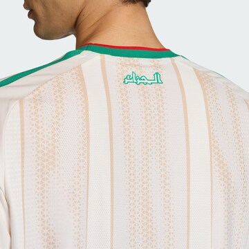 ADIDAS PERFORMANCE Tricot 'Algeria 26 Home Authentic' in Wit