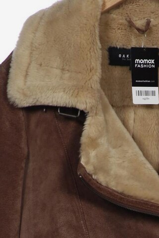 OAKWOOD Jacket & Coat in XL in Brown