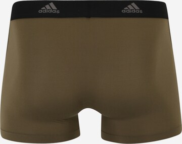 ADIDAS SPORTSWEAR Athletic Underwear in Brown