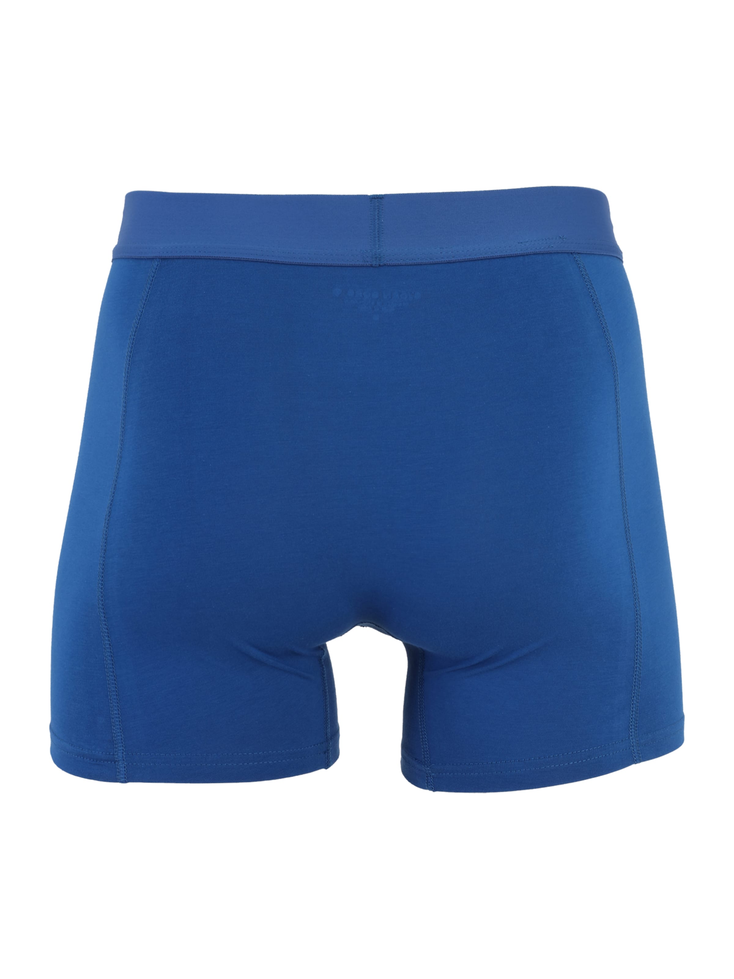 BJÖRN BORG Boxer shorts in Blue