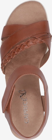 CAPRICE Strap Sandals 'Caprice' in Brown