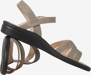 Ganter Sandalen met riem in Groen