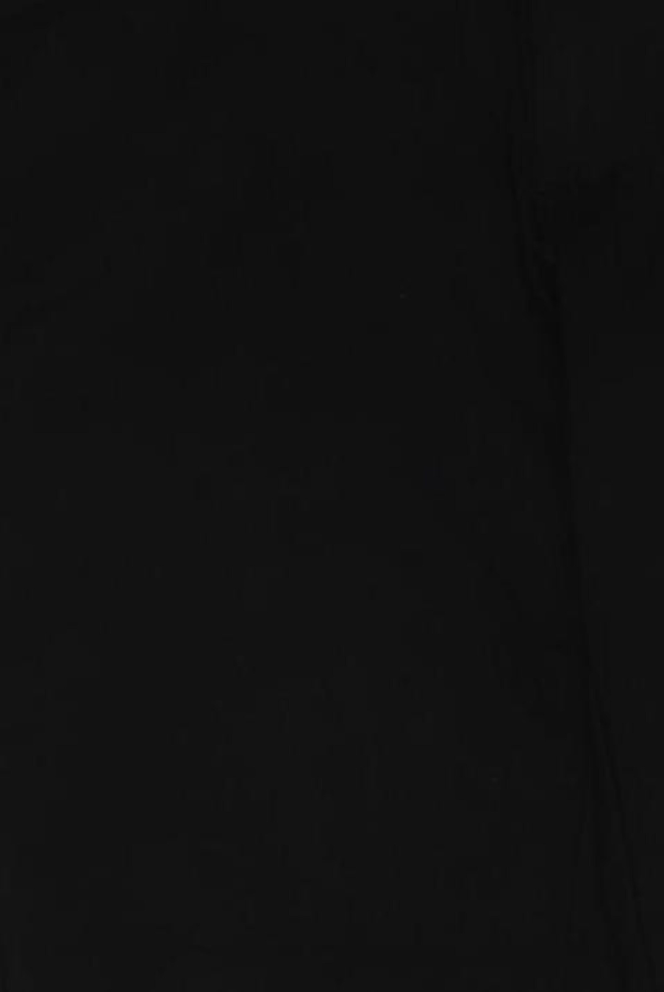 Only & Sons Pants in 31 in Black