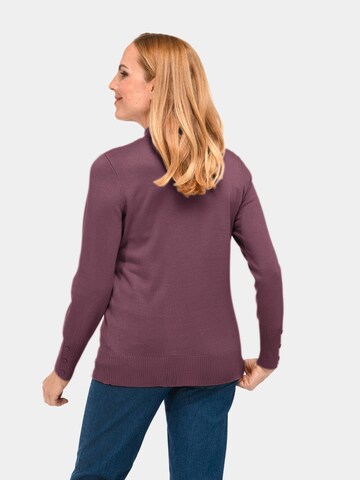 Goldner Pullover in Pink