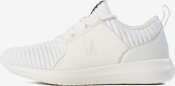 Baskets basses 'Aron' Spyder en blanc : devant