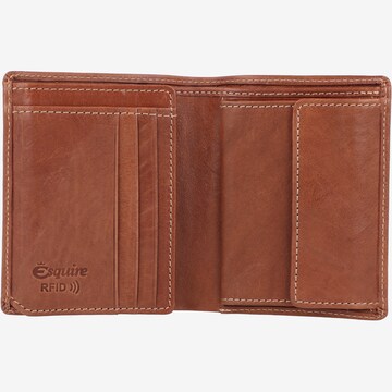 Esquire Wallet in Brown