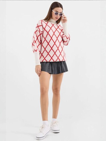 Bigdart Sweater in Red