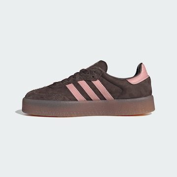 Baskets basses 'Sambae' ADIDAS ORIGINALS en marron