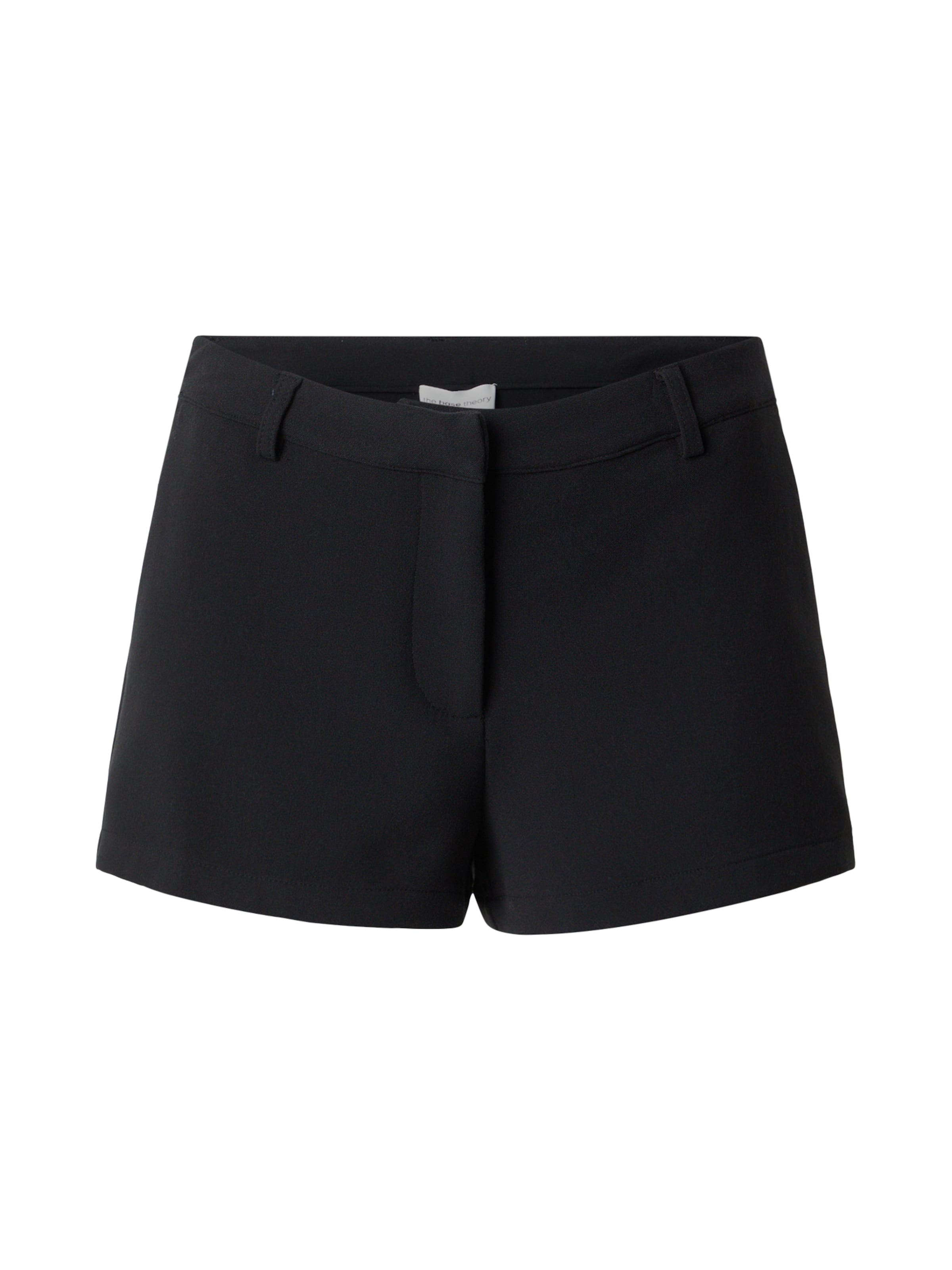 The Base Theory Hlače | črna barva, Prikaz izdelka