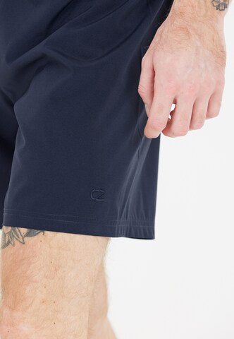 Cruz Zwemshorts 'Baumville' in Blauw