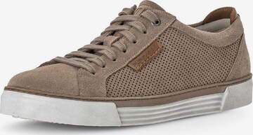 Pius Gabor Sneakers laag in Bruin: voorkant