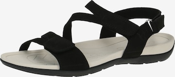 CAPRICE Strap Sandals in Black: front