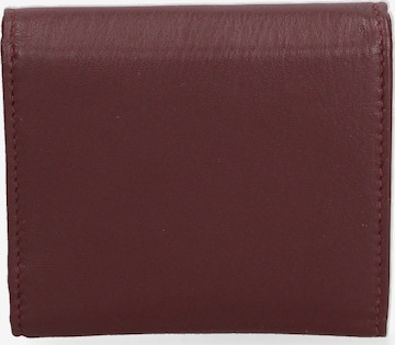 Sergio Valentini Wallet in Red: front