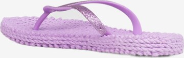 ILSE JACOBSEN T-Bar Sandals 'CHEERFUL01' in Purple